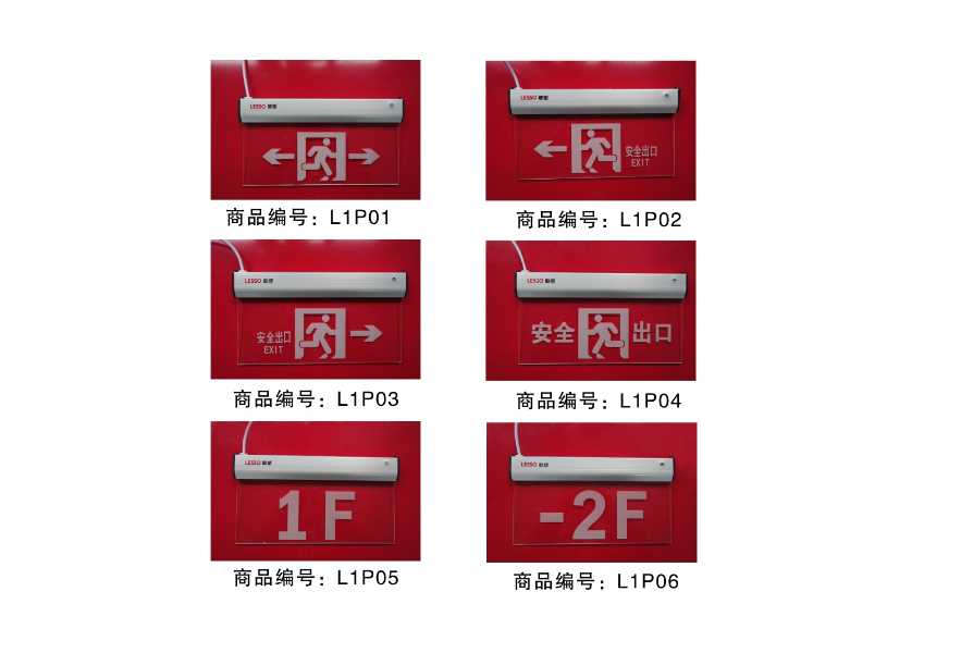 LS-BLZD-2LROE I 2W-L1型消防應急標志燈（雙面）