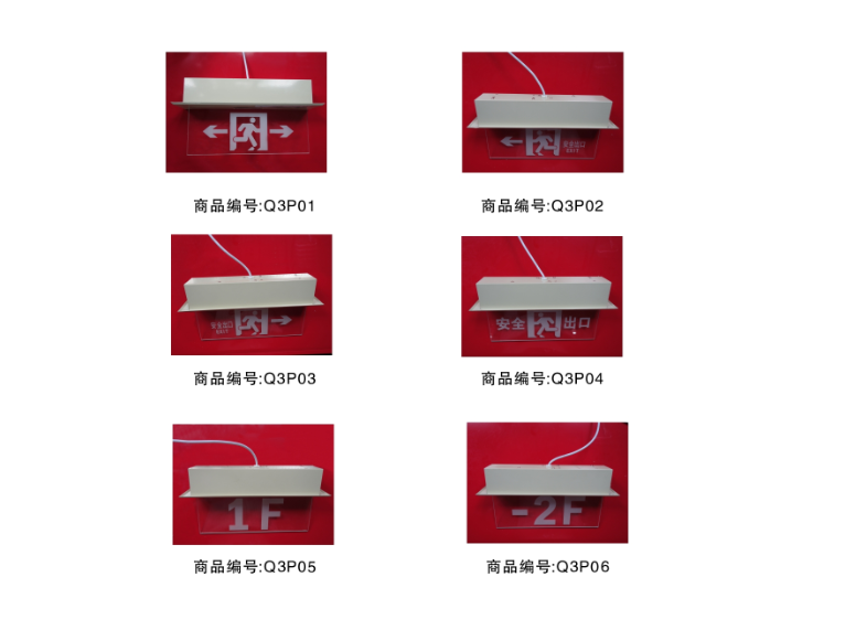LS-BLZD-2LROE I 2W-Q3型消防應急標志燈（嵌頂式）
