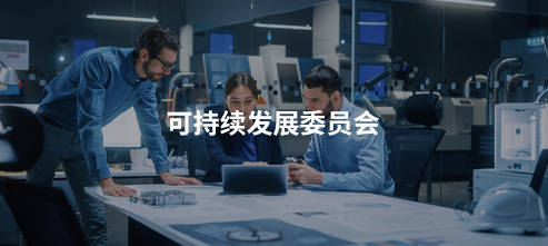 可持續發展委員會